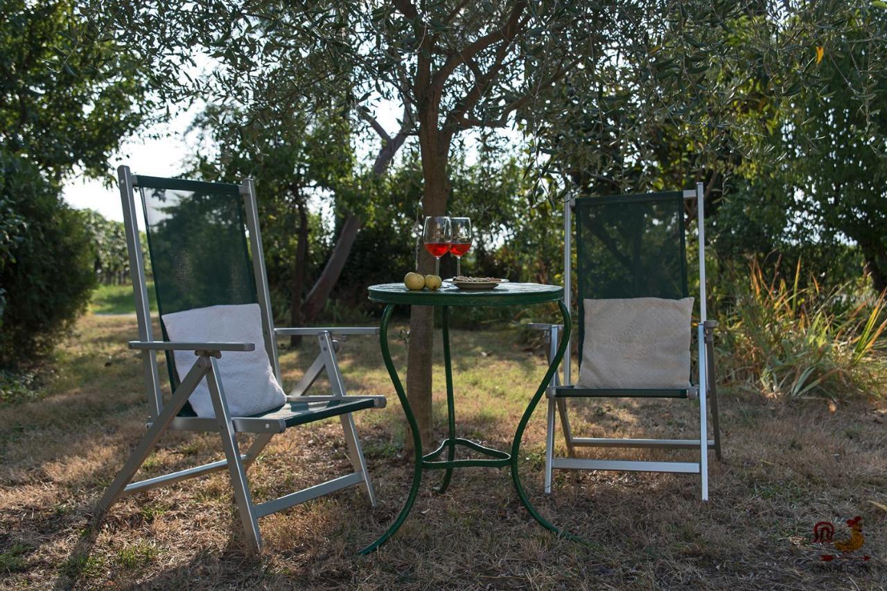 Casale13 Villa Faenza Exterior photo